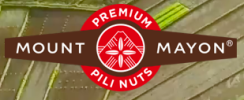 Mount Payon Pili Nuts