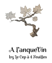 logo-alanquevin.fr